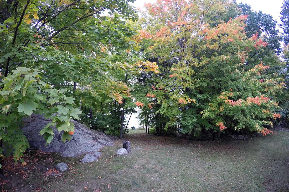 Toronto'da şükran günü