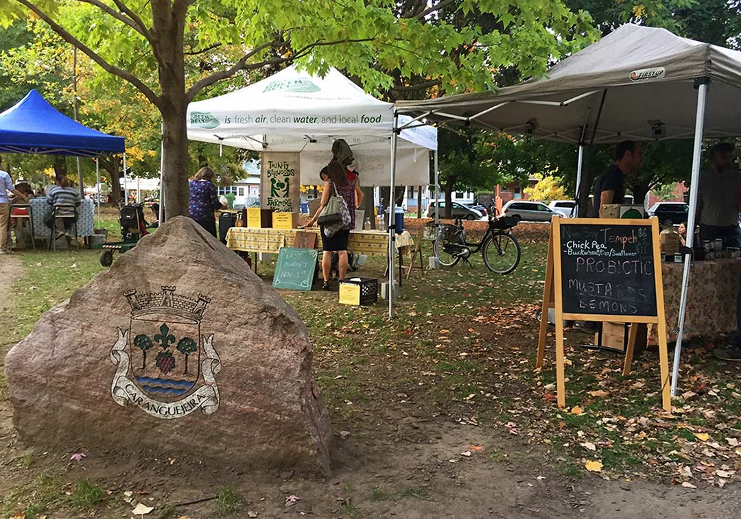 Toronto'da ev arayışı, park