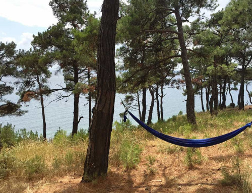 Gökçetepe Tabiat Parkı ve Kamp Alanı