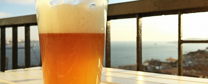 Ev yapımı buğday birası