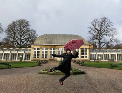 Yeni Bir Başlangıç