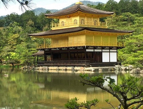 Japonya Mucizesi ve Anne Sevgisi