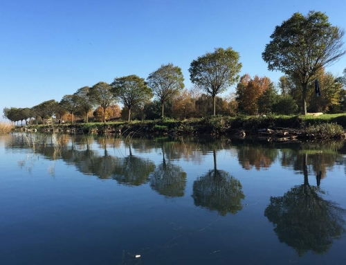 Hafta Sonu Kaçamağımız Sapanca Gölü