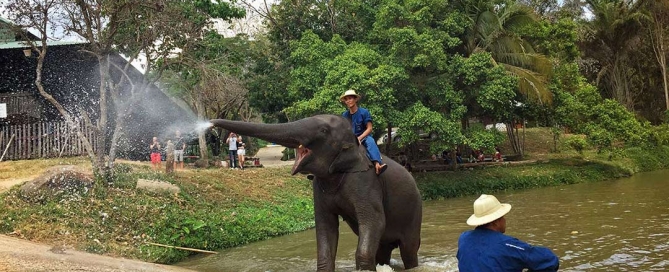 Thailand Elephant Conversation, road trip, arabayla Tayland