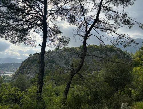 Asartepe ve Topal Gavur Mezarı Yürüyüşü (Olympos)